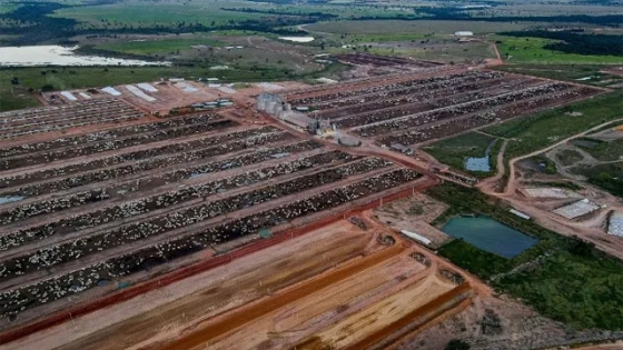 <Megafeetlot de 70 mil cabezas de ganado ingresa al mercado de biofertilizantes en Brasil