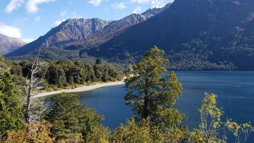 Río Negro estrecha lazos con Francia para salvaguardar los bosques