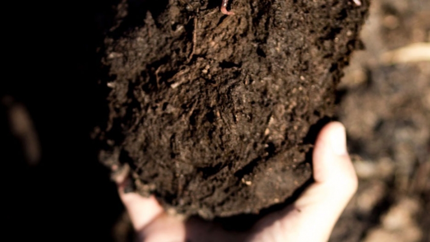 Fertilización bioorgánica mejora la calidad del suelo