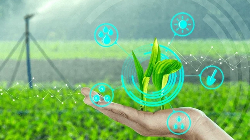 Cómo la tecnología puede beneficiar a la agricultura y los agricultores en la india