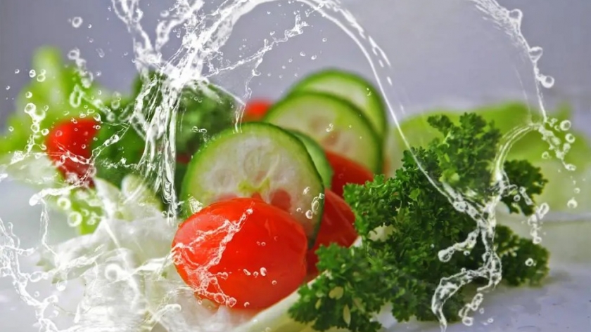 Mantener la higiene e inocuidad en plantas alimenticias