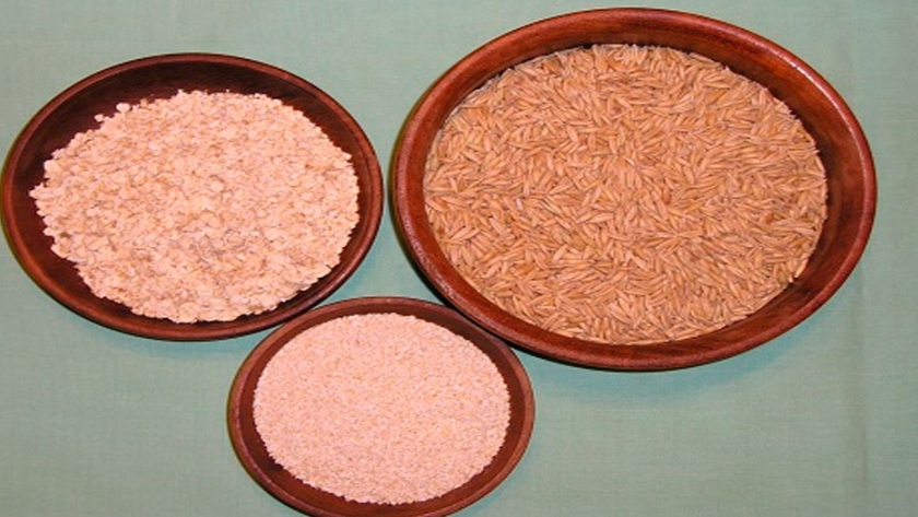 Ventajas de producir avena para consumo humano