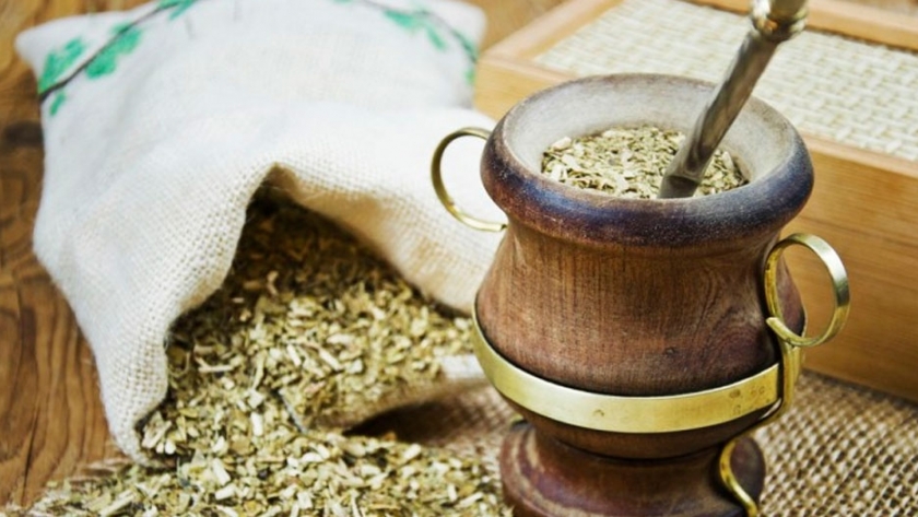 Buscan elaborar jugos saludables a partir de la yerba mate 