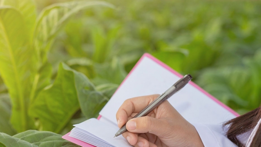 Semillas más fuertes, cultivos más sostenibles: el potencial de la biotecnología en la agricultura colombiana