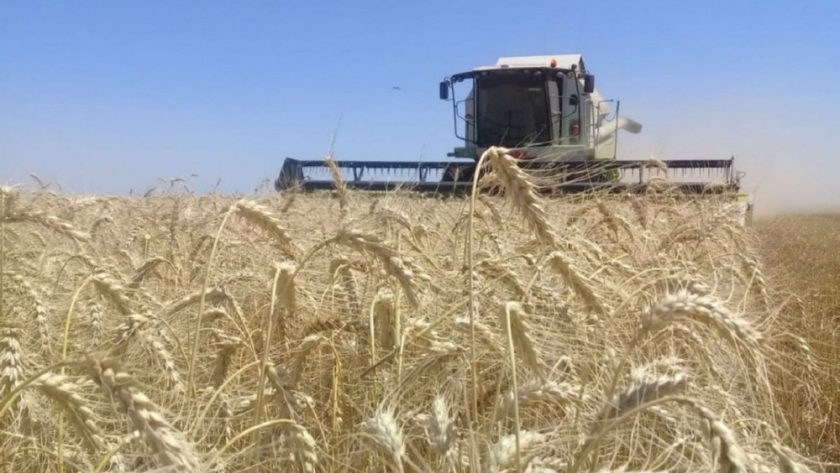 Se largó la trilla de trigo en Entre Ríos