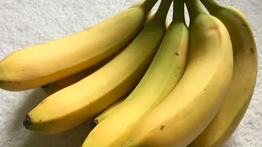 ¿Bananas en peligro? Un hongo amenaza a la producción global y lanzan una cooperación internacional para enfrentarlo