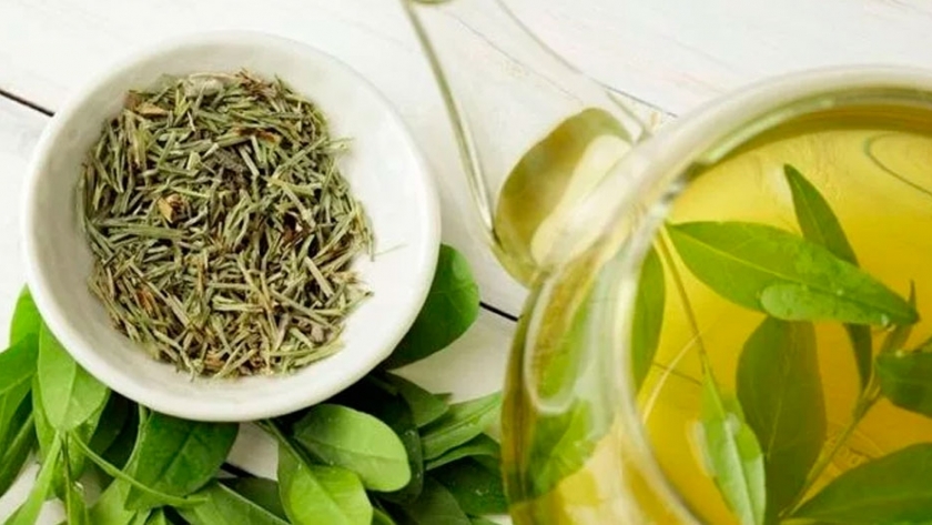 Todo sobre el Té verde