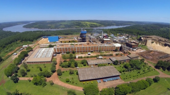 La fábrica Papel Misionero innovó en una caldera de biomasa y logró reducir emisiones de CO2