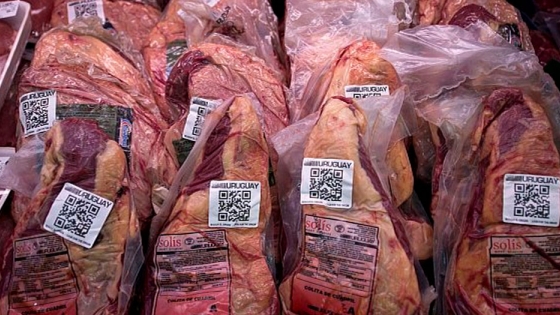 Bolivia planea vender carne de llama a Argentina y Suiza