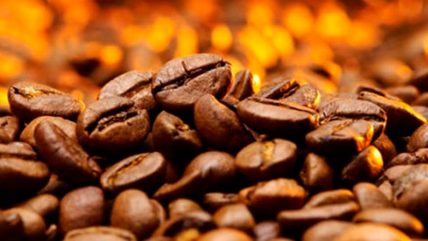 Conociendo los tipos de Café más Populares