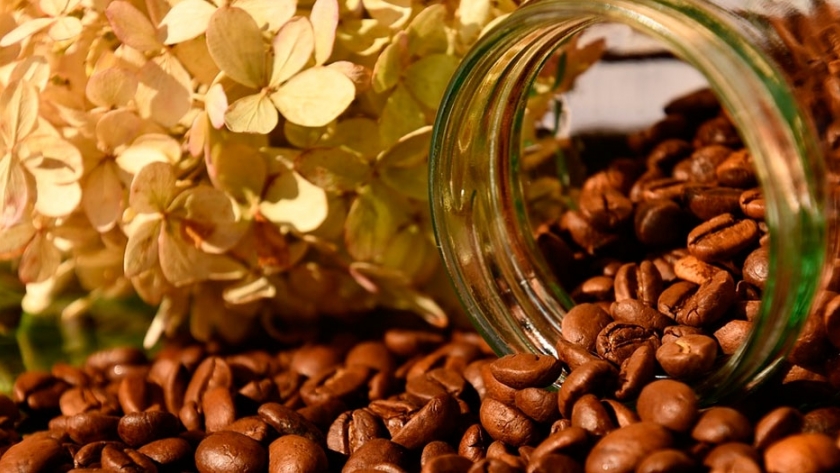 Granos de café escupidos por murciélagos son éxito entre los consumidores africanos
