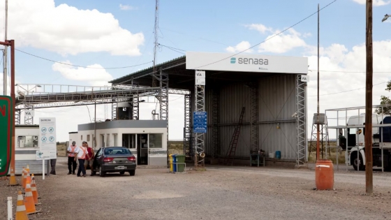 El blindaje sanitario que convirtió a la Patagonia en una zona clave para las exportaciones agropecuarias