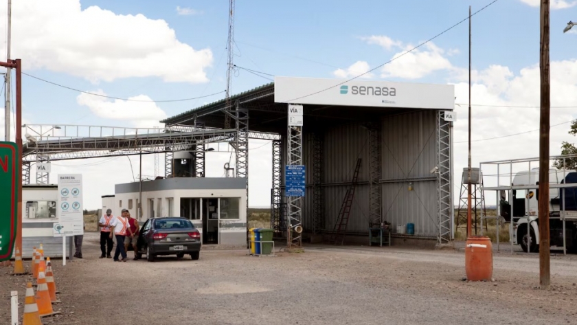 El blindaje sanitario que convirtió a la Patagonia en una zona clave para las exportaciones agropecuarias