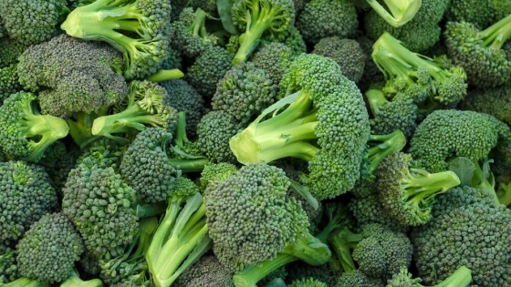 Cultivo de brócoli: Nutritivo y sostenible