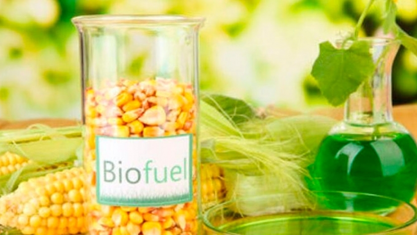 Argentina busca incentivar el uso de biocombustibles para el desarrollo de la economía