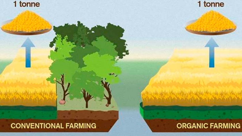 Estudio sueco: La agricultura orgánica/ecológica es peor para el medio ambiente