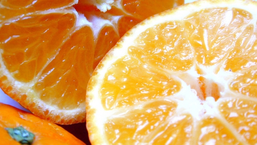 Concretan la primera exportación de frutas frescas cítricas desde puertos bonaerenses