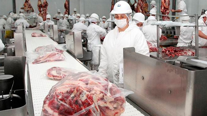 Chile fue el principal mercado de la carne paraguaya, con casi el 40% de las exportaciones