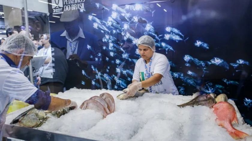 Comienza en Sao Paulo, la Seafood Show Latin America Brasil 2023