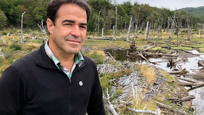 Por Internet, personas y empresas compran bosques argentinos para frenar el cambio climático