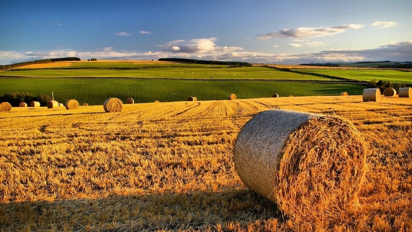 Ya se puede acceder a los beneficios para el Impuesto Inmobiliario Rural