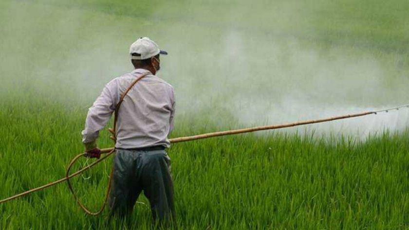 Los casos de intoxicación estropean la apuesta de India por ser un centro mundial de pesticidas