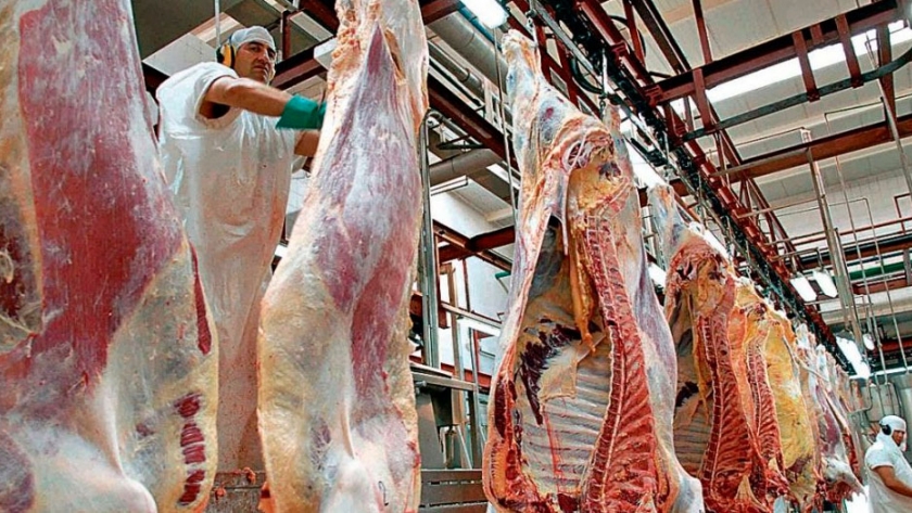 Frigoríficos habilitados podrán exportar carne bovina y ovina a la Unión Europea