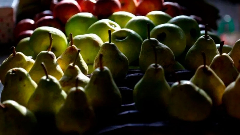 Aumentaron los envíos de peras y manzanas a Rusia