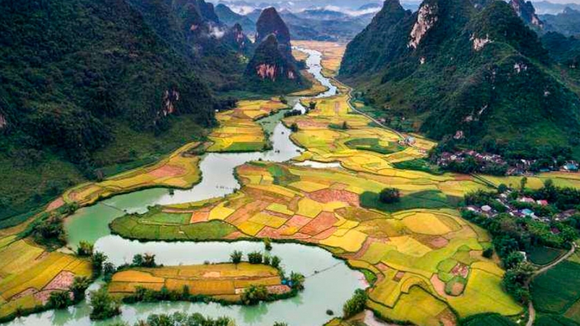 Primer arroz cultivado antiguo descubierto en Asia Central