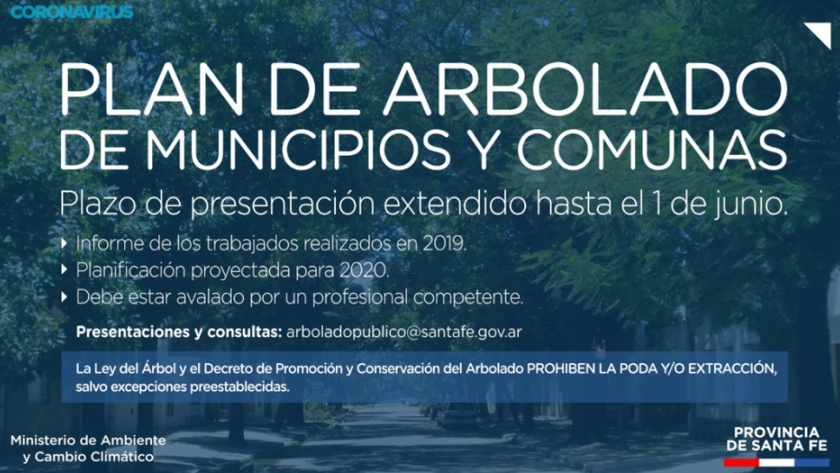 La Provincia extendió el plazo de presentación de los planes de arbolado