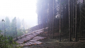Comarca Andina: El gobierno de la provincia incrementa acciones de manejo preventivo en forestaciones