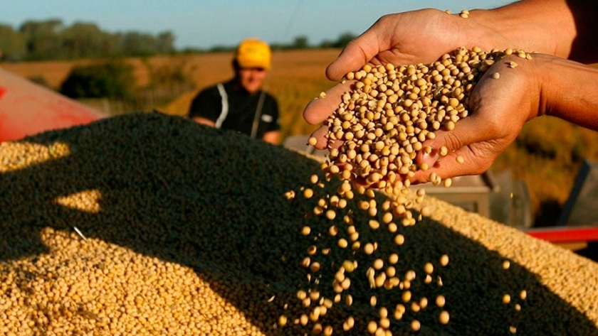 Reino Unido apuesta a la tecnología aplicada al agro en Argentina