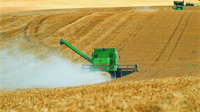 La importancia de la sustentabilidad en el sector agropecuario: Un futuro prometedor