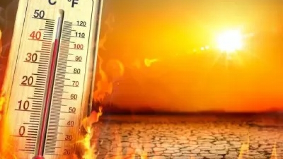 Alerta por calor extremo y tormentas: Provincias afectadas y recomendaciones del SMN