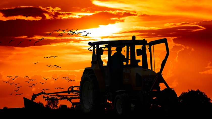 Los agricultores británicos temen no poder sostener la producción de alimentos