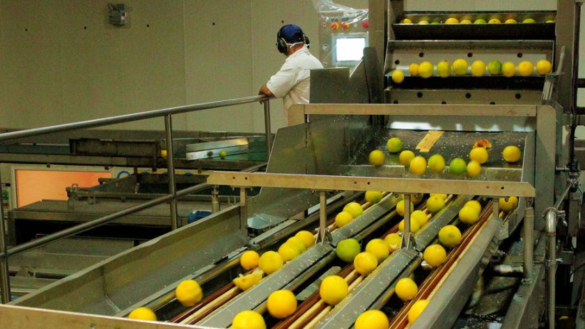 Convocatoria: Implementación de normas de calidad para mejorar la competitividad de empresas de alimentos y bebidas