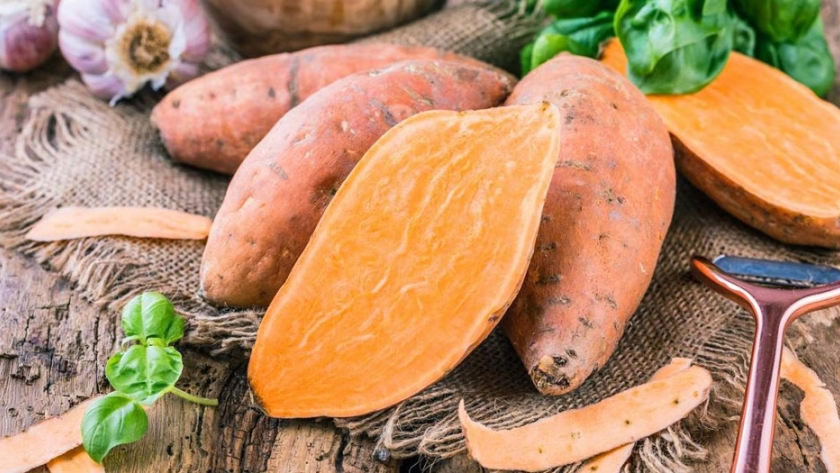Características del cultivo de batatas con pulpa anaranjada en suelos arenosos de Bella Vista, Corrientes