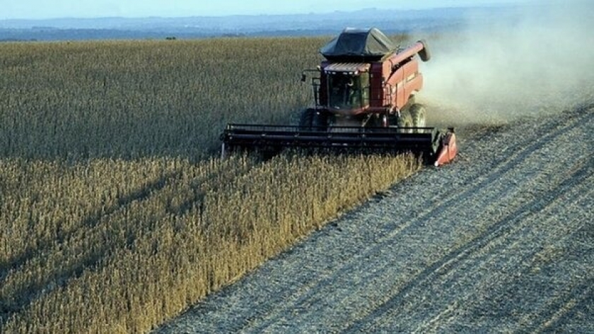 Lanzan nueva edición de programa de apoyo a cooperativas agroindustriales