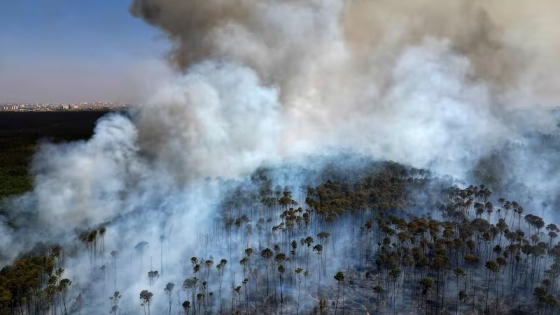 La cortina de humo de los incendios en el Amazonas afecta a 16 provincias argentinas