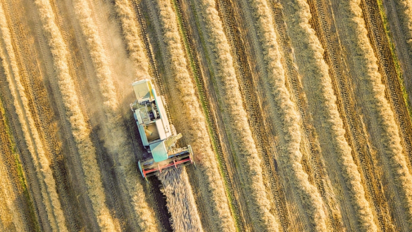 La agroindustria brasileña crece a pesar de las tensiones internacionales