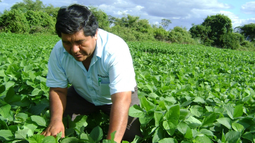 MinAgricultura intercambió experiencias en comercialización, manejo del covid-19 en el agro y otros temas con ministerios de Perú, Ecuador y Bolivia