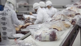 Retenciones al agro: el potencial de crear 830 mil empleos más