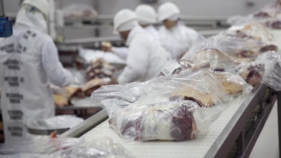 Retenciones al agro: el potencial de crear 830 mil empleos más