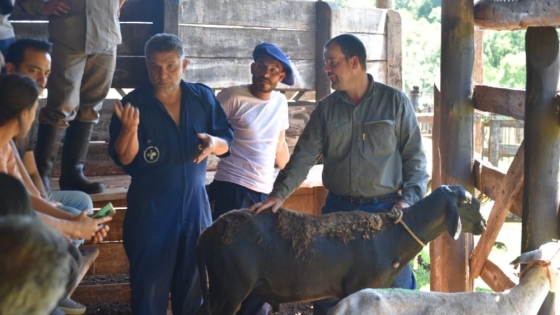 Fortalecen la producción ovino caprina en la provincia