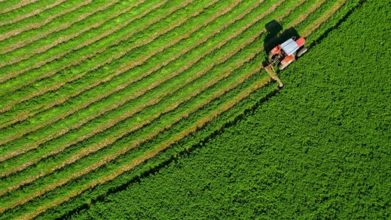 La logística y la tecnología, claves para posicionar a Argentina como exportador de alfalfa premium