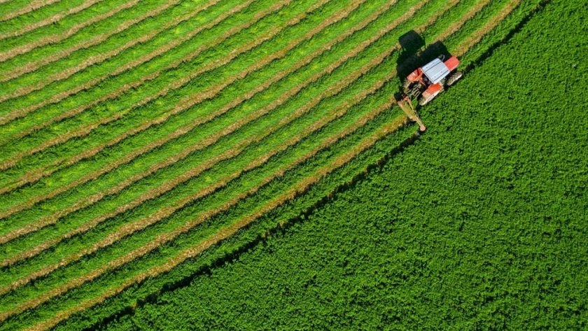 La logística y la tecnología, claves para posicionar a Argentina como exportador de alfalfa premium