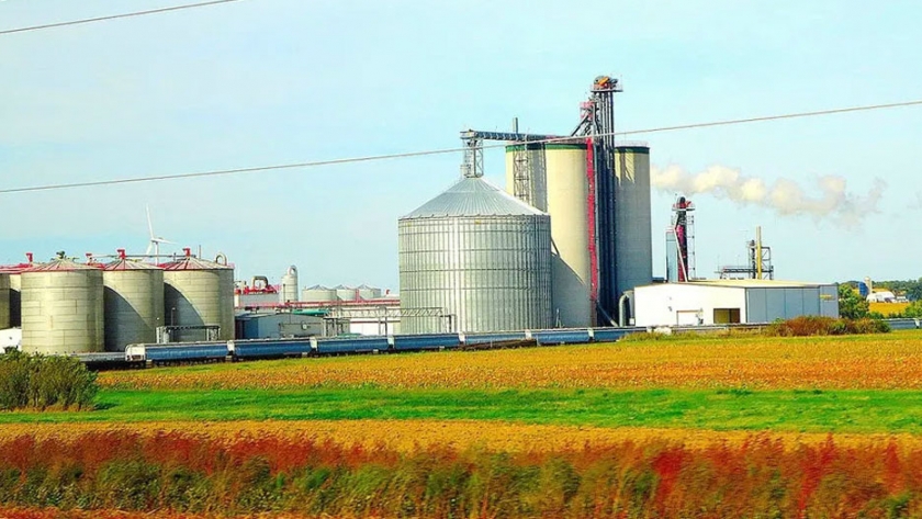 Producción de biodiésel, un negocio a largo plazo