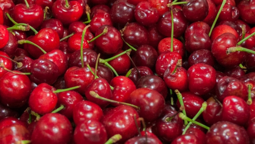 Coordinan el inicio de la campaña de exportación de cerezas a Estados Unidos