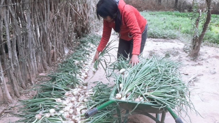 Con el apoyo del gobierno provincial, productores Wichí lograron sacar su productos al mercado