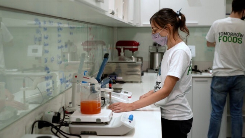 Avanzan en Córdoba y Buenos Aires los dos emprendimientos que buscan posicionar a la Argentina como referente en la producción de proteínas vegetales funcionales